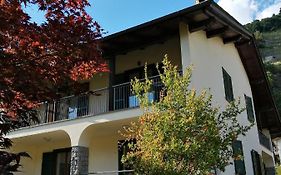 B&B Carunei